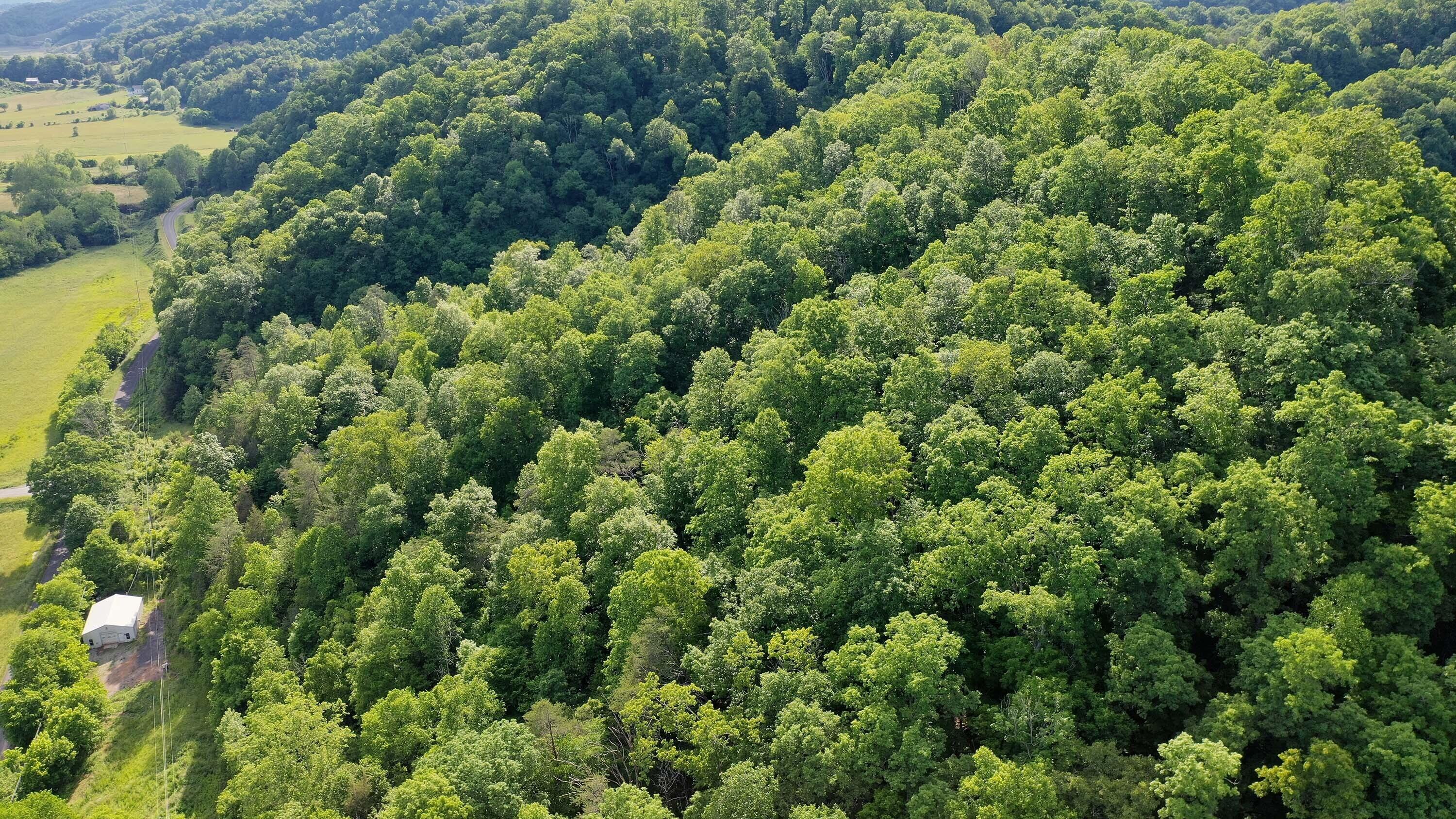 9692 Fairview Road Blackwater, VA 24221 - Photo 5 of 11 DJI_0341