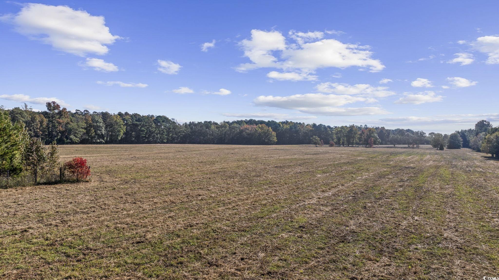 3542 Bluebird Place Mullins, SC 29574 - Photo 14 of 29 View of yard with a rural view