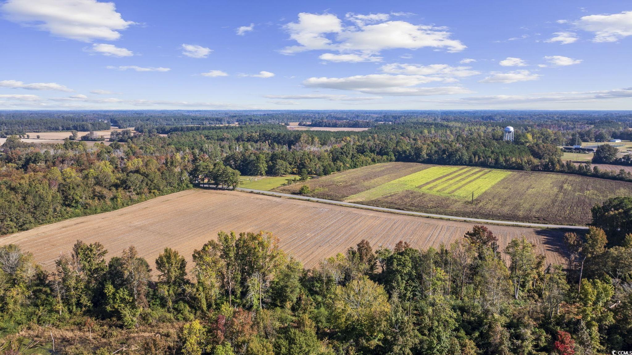 3542 Bluebird Place Mullins, SC 29574 - Photo 15 of 29 Bird's eye view featuring a rural view