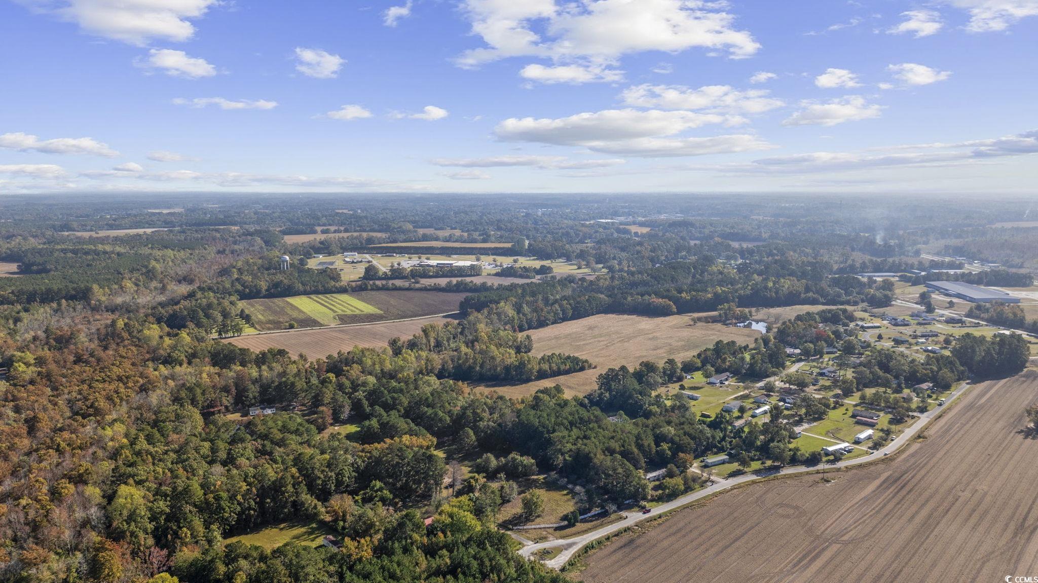 3542 Bluebird Place Mullins, SC 29574 - Photo 29 of 29 Birds eye view of property