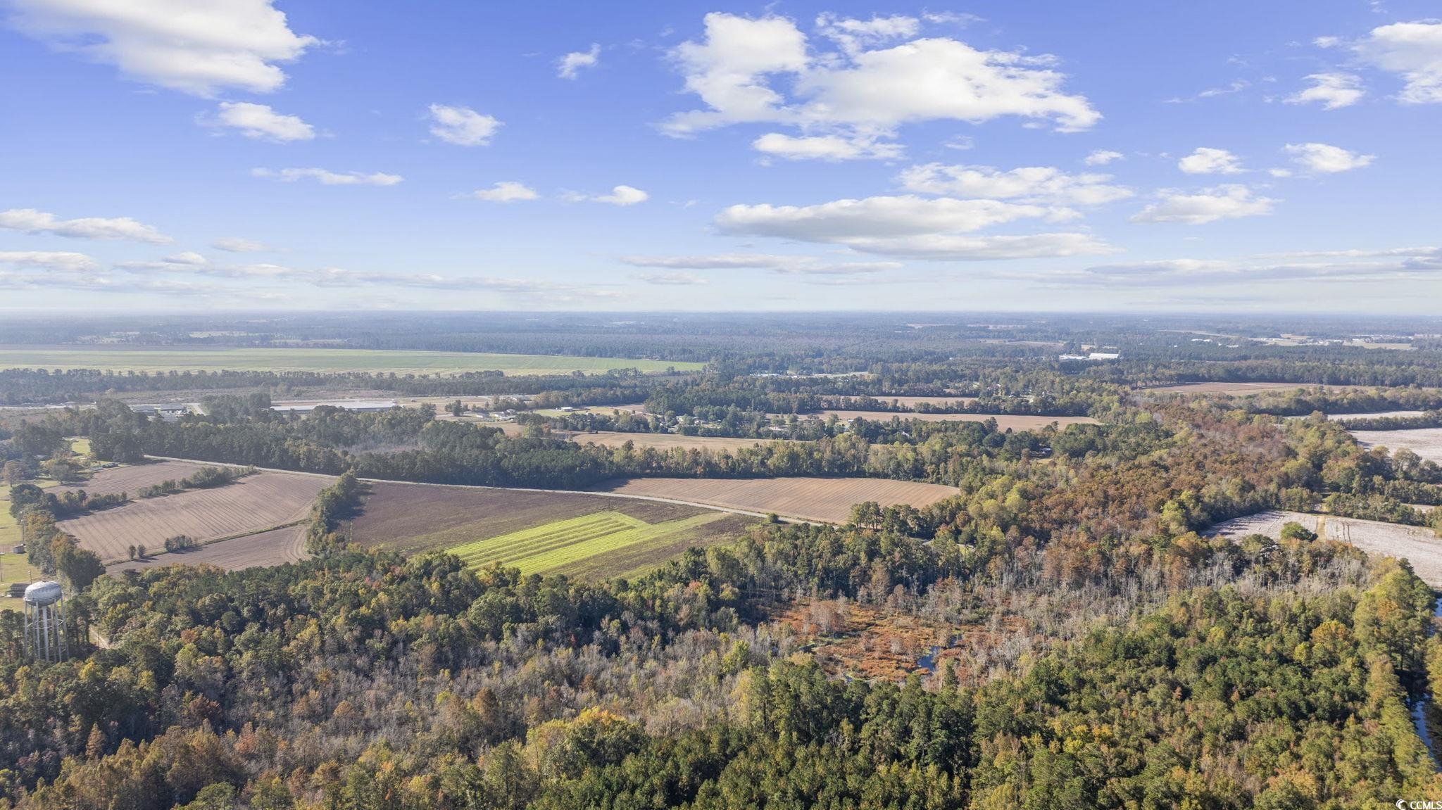3542 Bluebird Place Mullins, SC 29574 - Photo 8 of 29 Drone / aerial view featuring a rural view