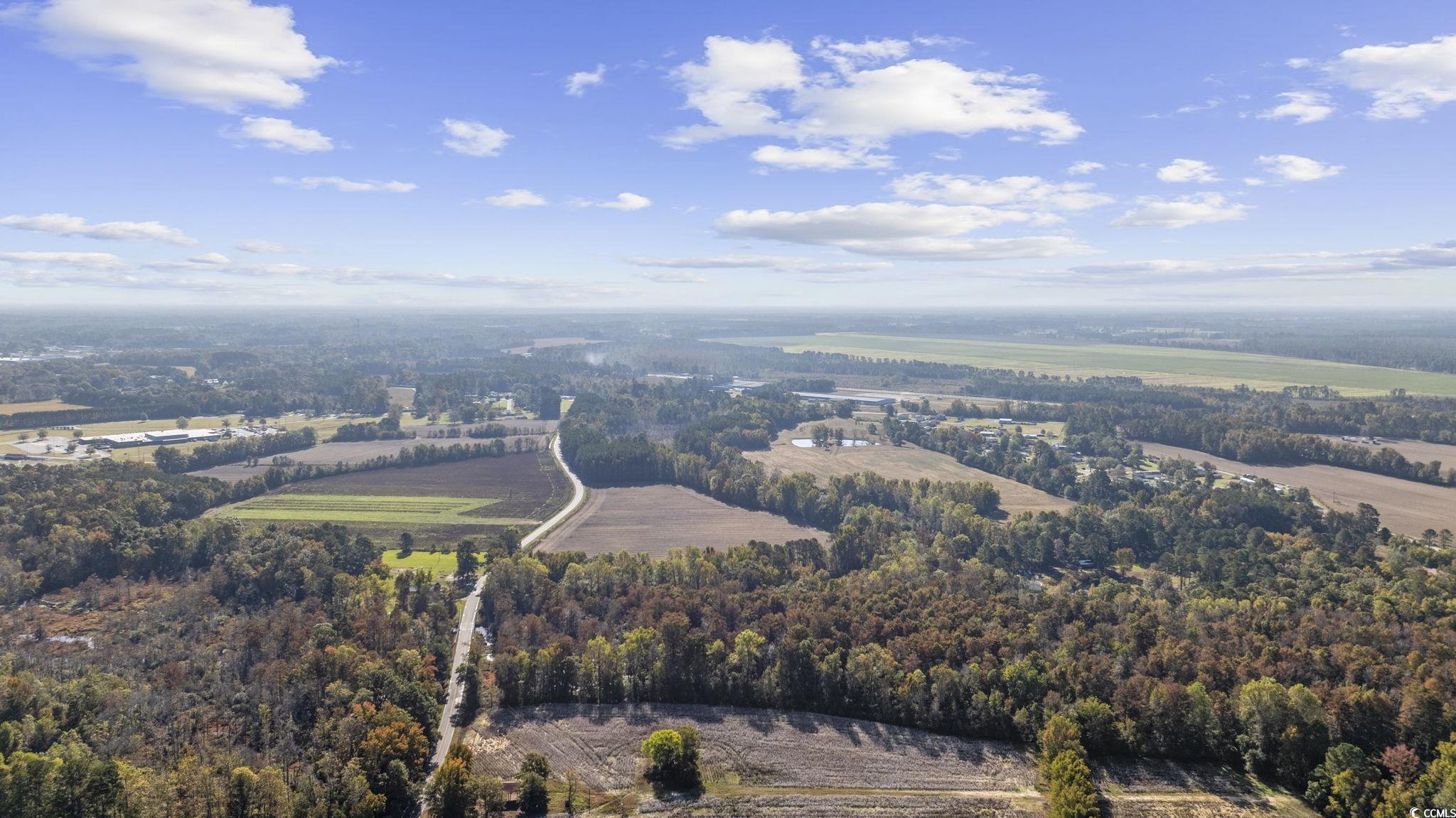 3542 Bluebird Place Mullins, SC 29574 - Photo 9 of 29 Bird's eye view featuring a rural view