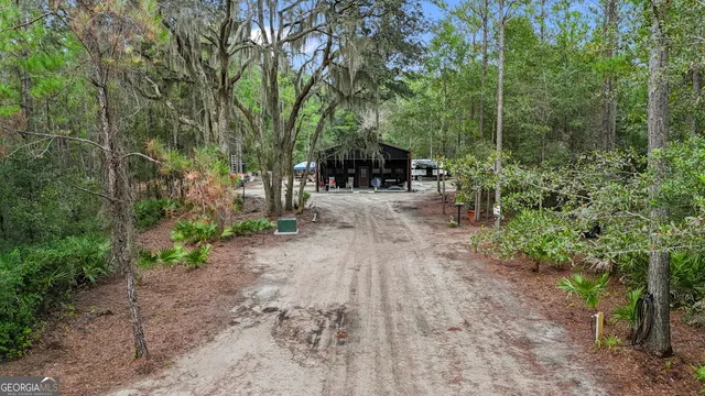 a view of a backyard with plants and large trees