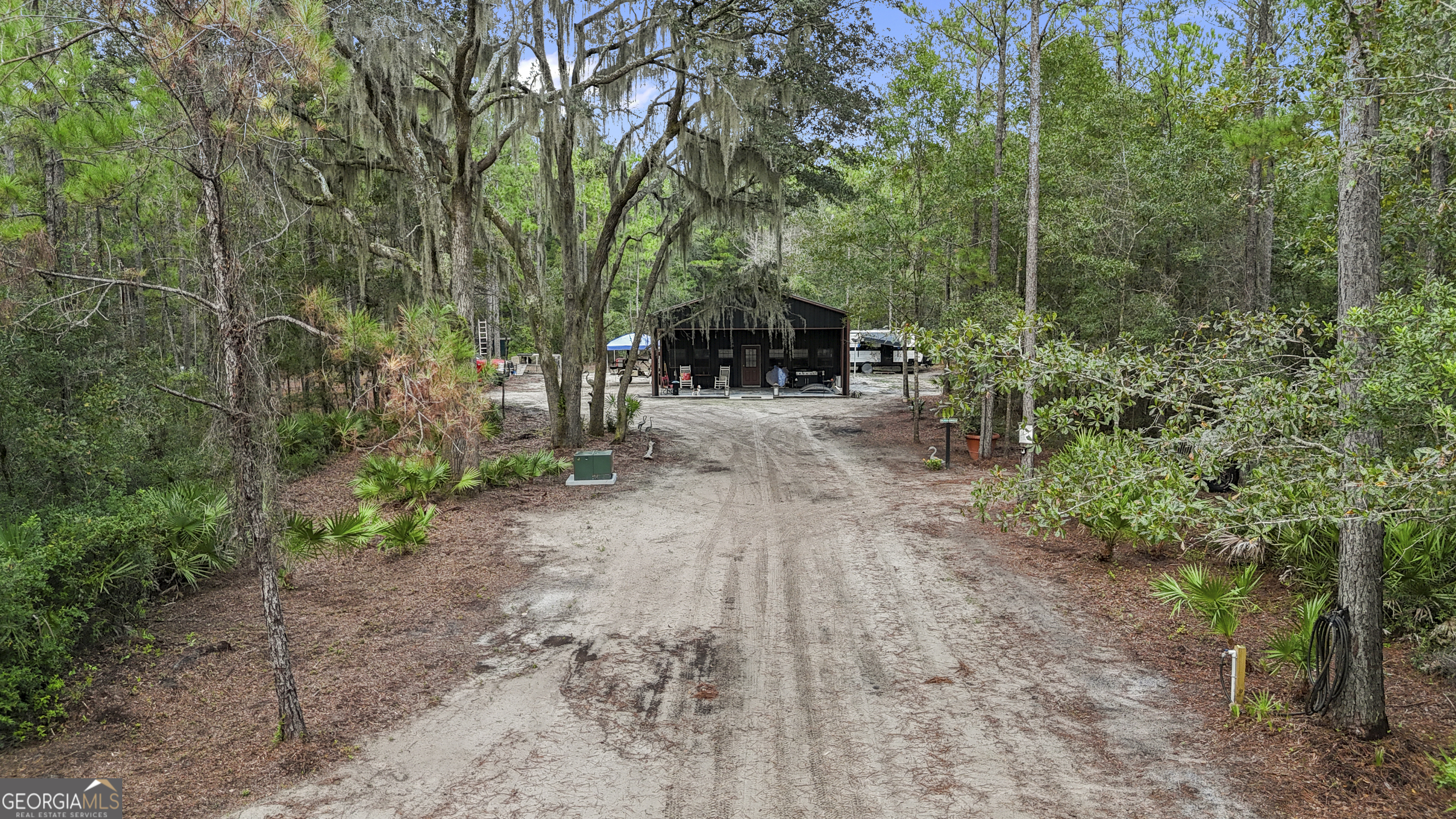 a view of a backyard with plants and large trees