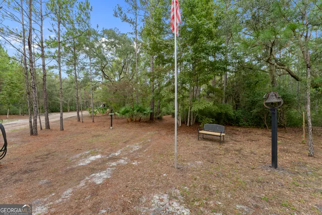 a view of a forest with trees in the background