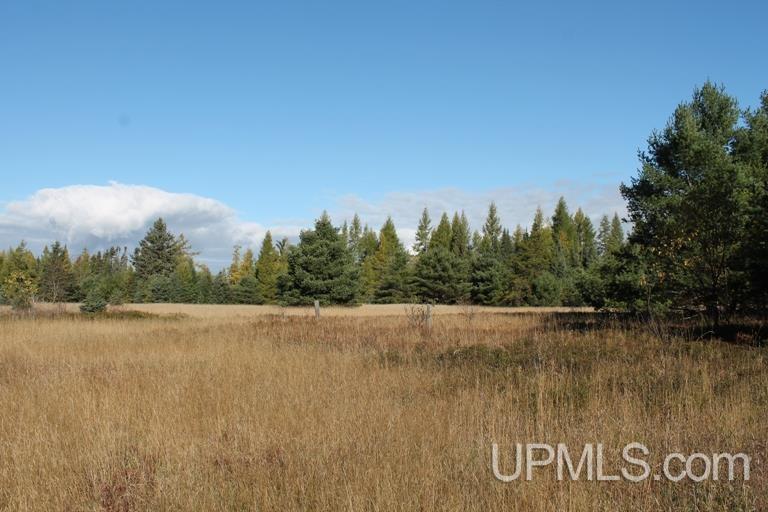 Tbd Missouri Rd - Co Rd 565, Unit LAT 46 31633 LON 87 5822 Gwinn, MI 49841 - Photo 13 of 30