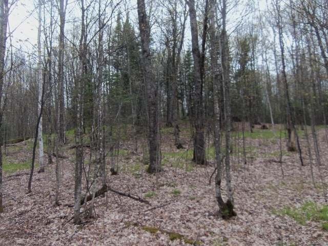 Lot 2 Timberline Road Mercer, WI 54547 - Photo 5 of 20 Gallery Image 5