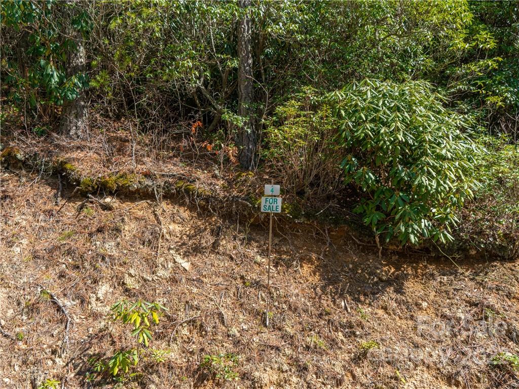 3-4 Bear Den Mountain View Marion, NC 28752 - Photo 11 of 21