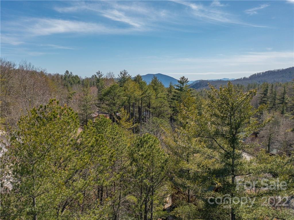 3-4 Bear Den Mountain View Marion, NC 28752 - Photo 5 of 21