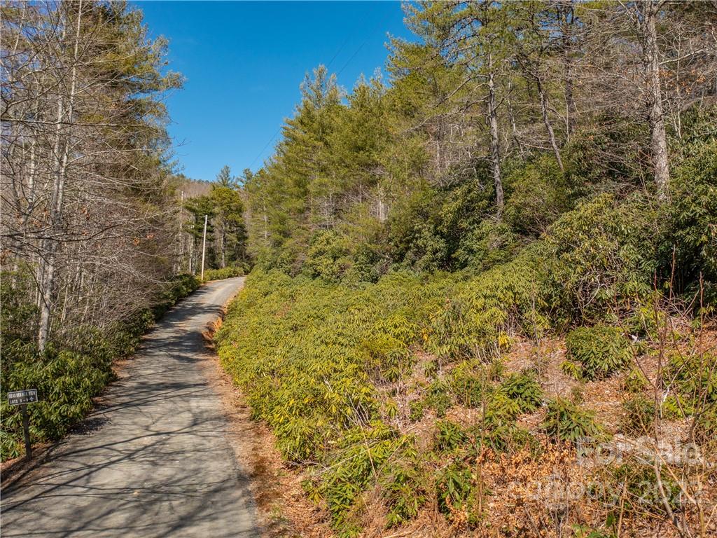 3-4 Bear Den Mountain View Marion, NC 28752 - Photo 6 of 21