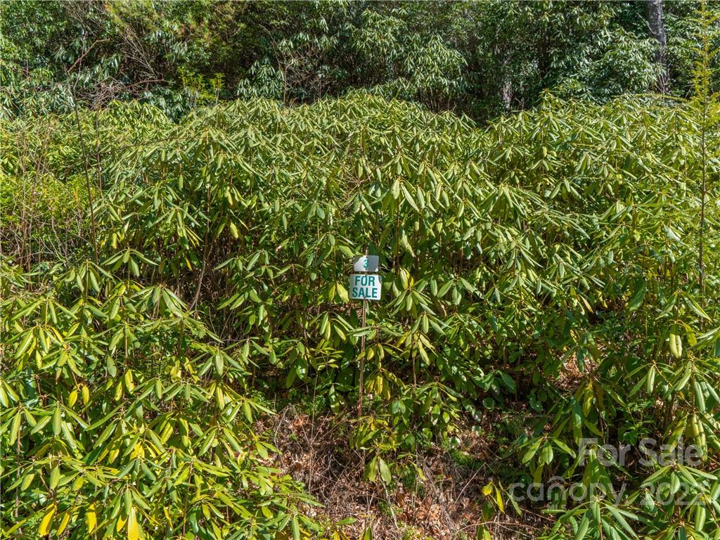 3-4 Bear Den Mountain View Marion, NC 28752 - Photo 10 of 21