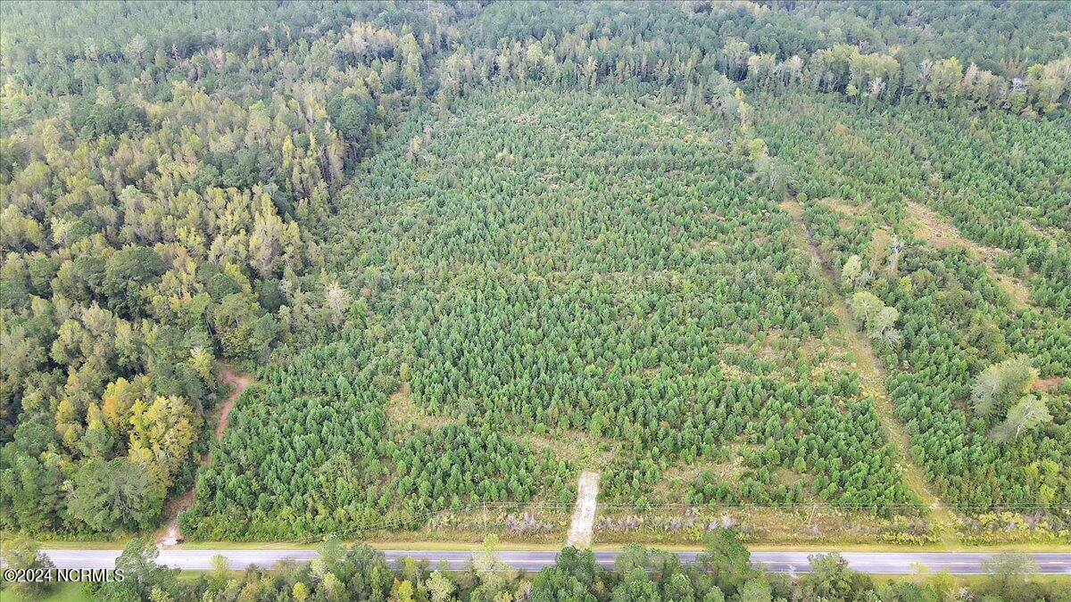 260 Andermora Road Maple Hill, NC 28454 - Photo 11 of 15 03-Final 260 Andermora Rd Maple Hill-RJR