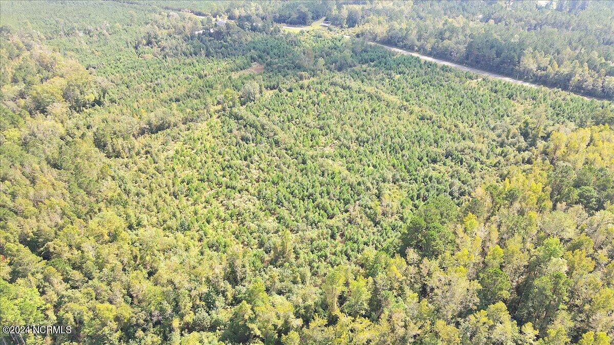 260 Andermora Road Maple Hill, NC 28454 - Photo 12 of 15 10-Final 260 Andermora Rd Maple Hill-RJR