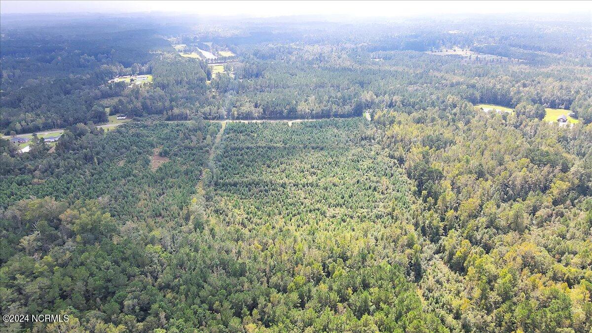 260 Andermora Road Maple Hill, NC 28454 - Photo 14 of 15 08-Final 260 Andermora Rd Maple Hill-RJR