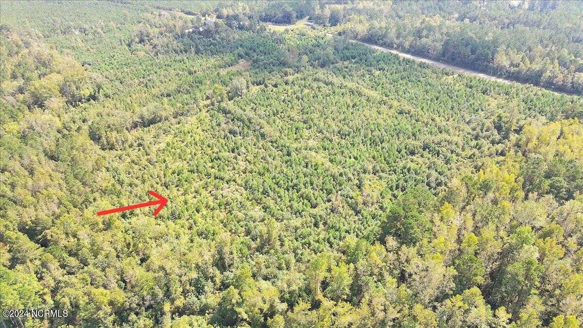 260 Andermora Road Maple Hill, NC 28454 - Photo 15 of 15 15-Final 260 Andermora Rd Maple Hill-RJR