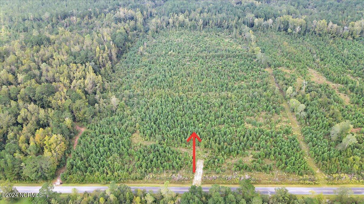 260 Andermora Road Maple Hill, NC 28454 - Photo 2 of 15 11-Final 260 Andermora Rd Maple Hill-RJR