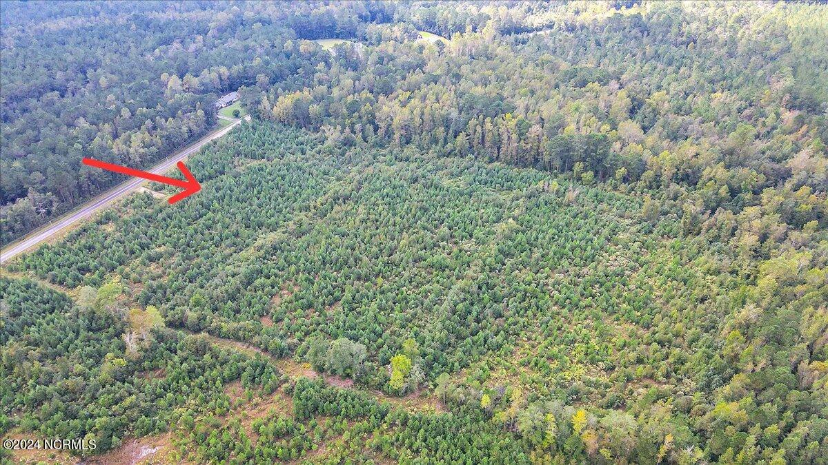 260 Andermora Road Maple Hill, NC 28454 - Photo 3 of 15 12-Final 260 Andermora Rd Maple Hill-RJR