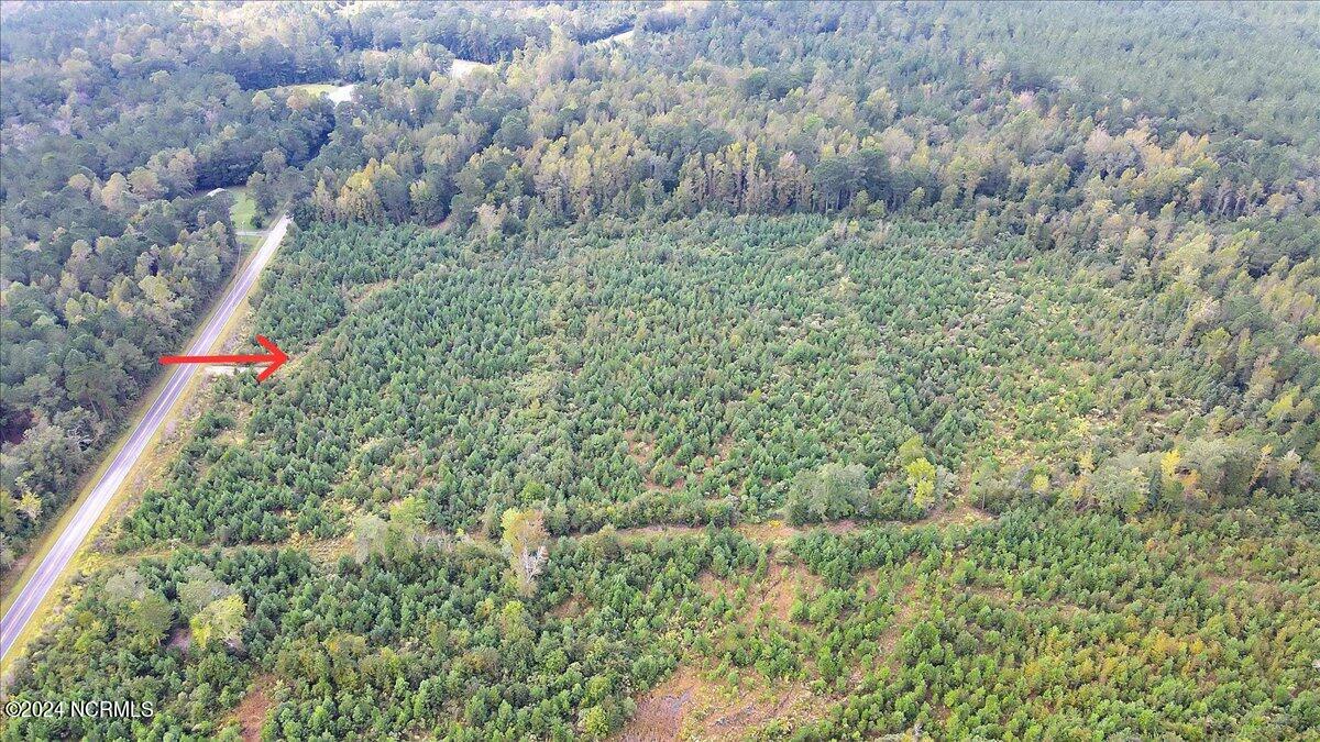 260 Andermora Road Maple Hill, NC 28454 - Photo 4 of 15 13-Final 260 Andermora Rd Maple Hill-RJR