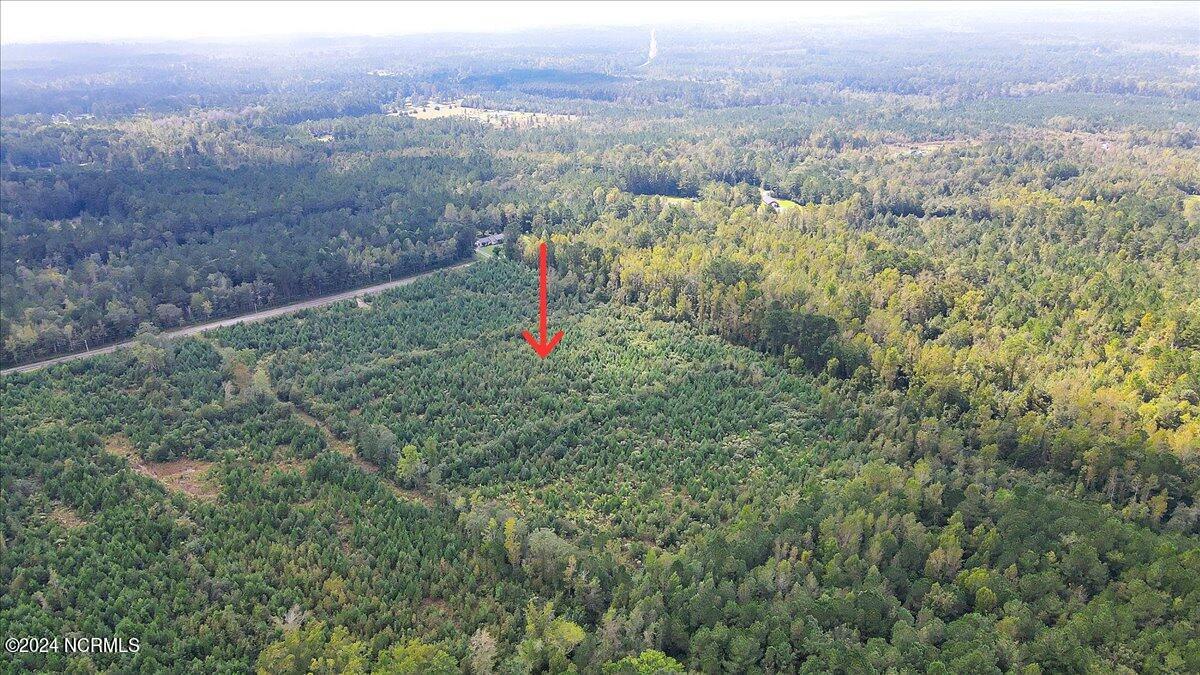 260 Andermora Road Maple Hill, NC 28454 - Photo 5 of 15 14-Final 260 Andermora Rd Maple Hill-RJR