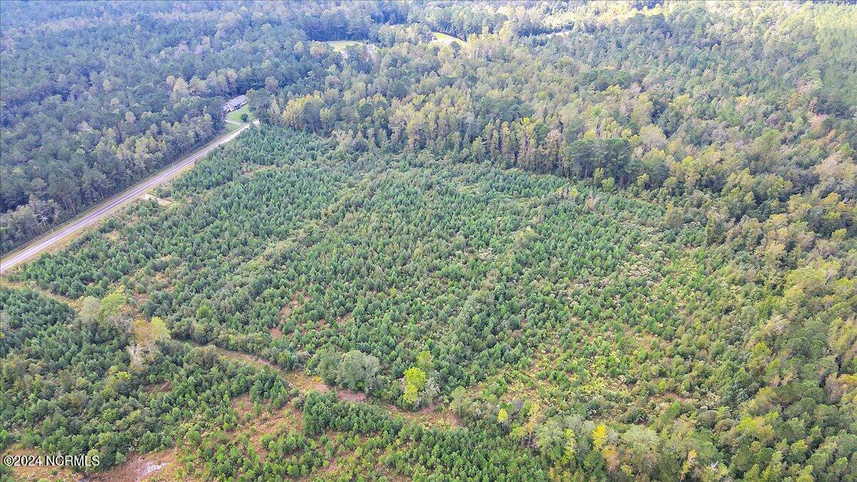 260 Andermora Road Maple Hill, NC 28454 - Photo 7 of 15 05-Final 260 Andermora Rd Maple Hill-RJR