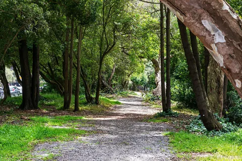 $2,995,000 | 459 24th Avenue, San Francisco, CA 94121