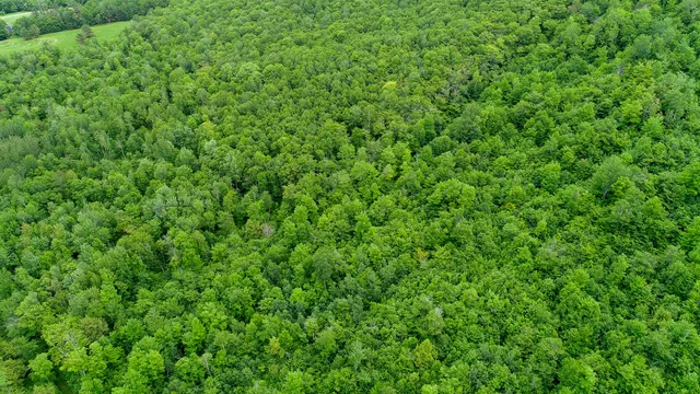 $399,900 | 402 Map, Roxbury, ME 04275