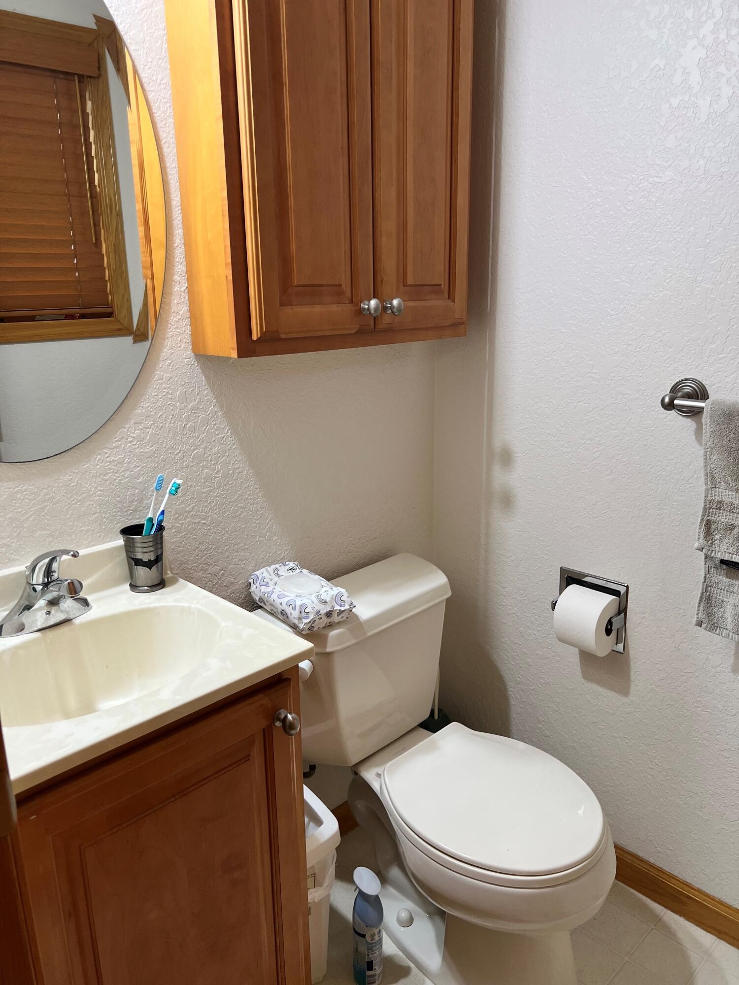 857 North Union City Road Coldwater, MI 49036 - Photo 15 of 23 Master Bath