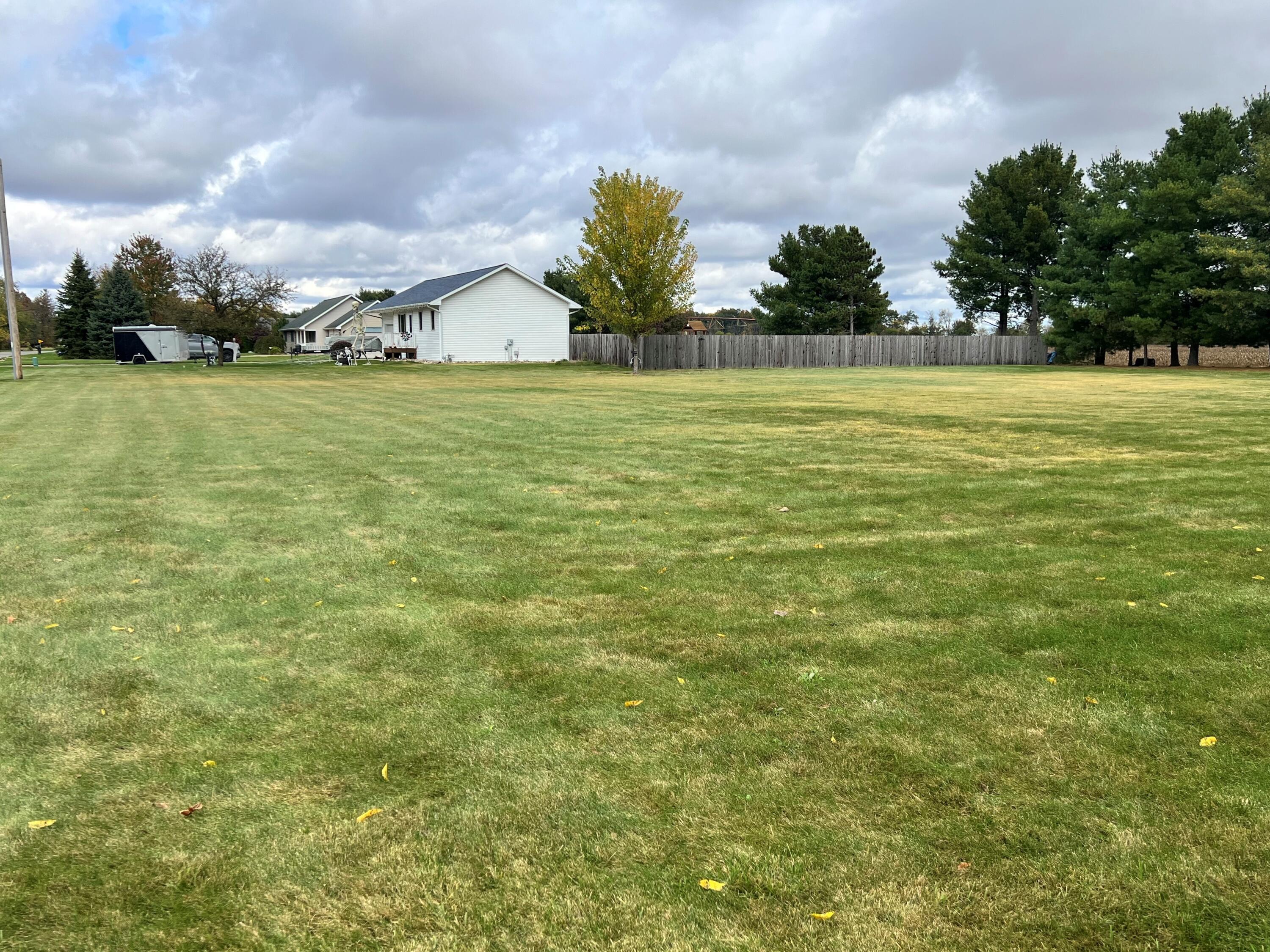 857 North Union City Road Coldwater, MI 49036 - Photo 2 of 23 Side Yard