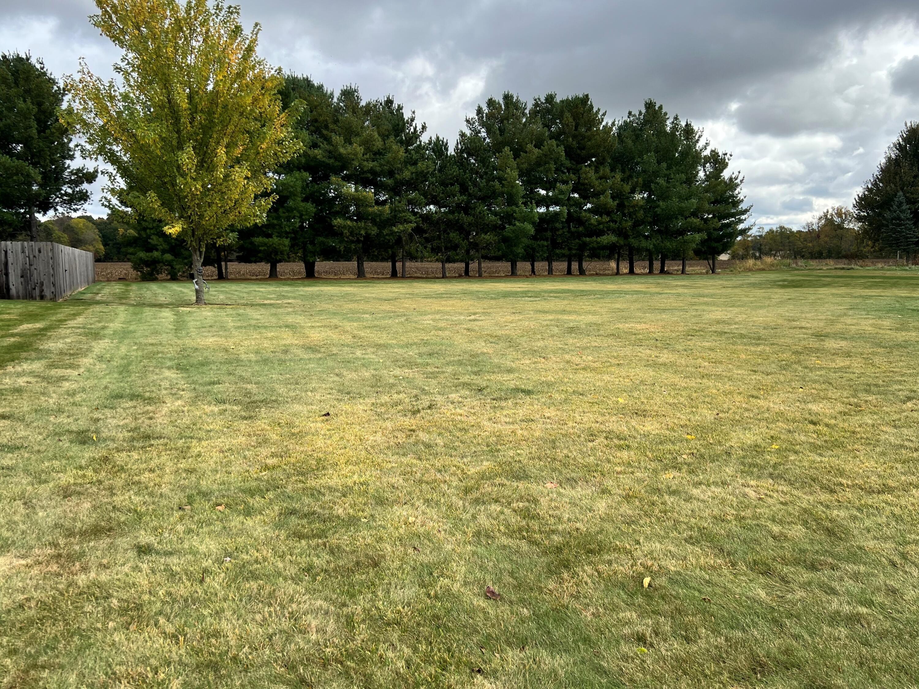 857 North Union City Road Coldwater, MI 49036 - Photo 3 of 23 Side Yard