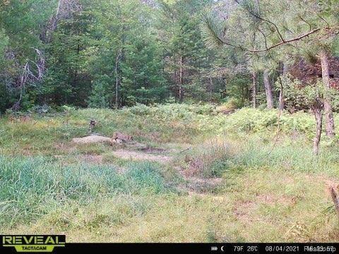 0 Sam Ellsworth Ridge Roscommon, MI 48653 - Photo 20 of 20 Gallery Image 20