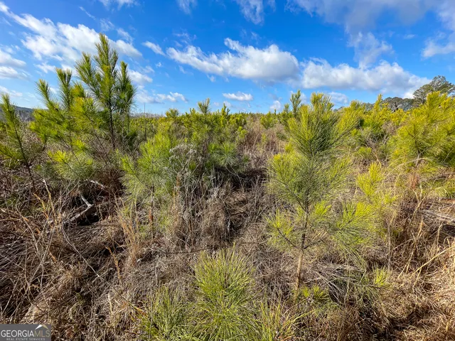 $779,900 | 142 Acres On Judkin Mill Road, Cedartown, GA 30125