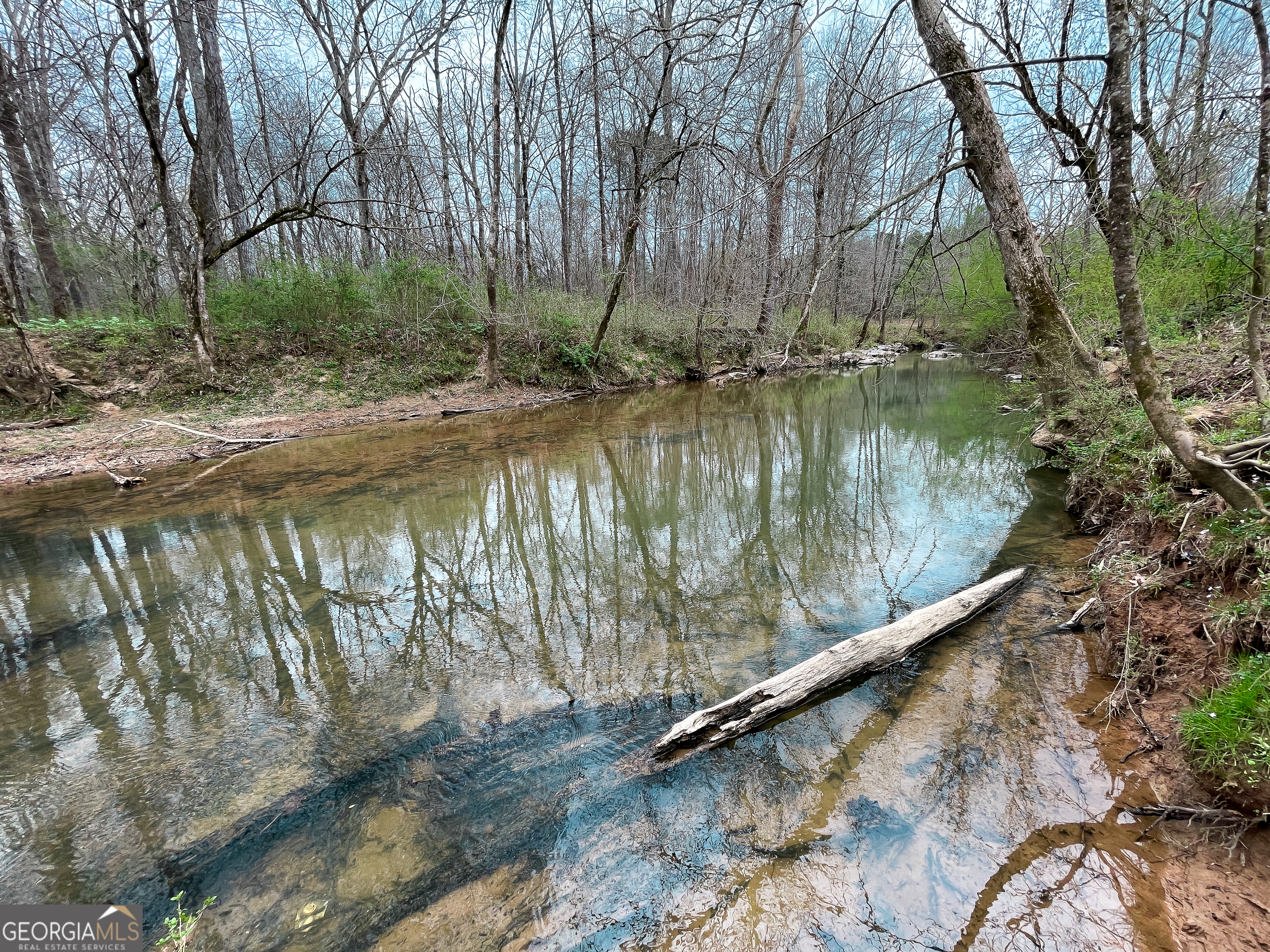 142 Acres On Judkin Mill Road Cedartown, GA 30125 - Photo 14 of 38