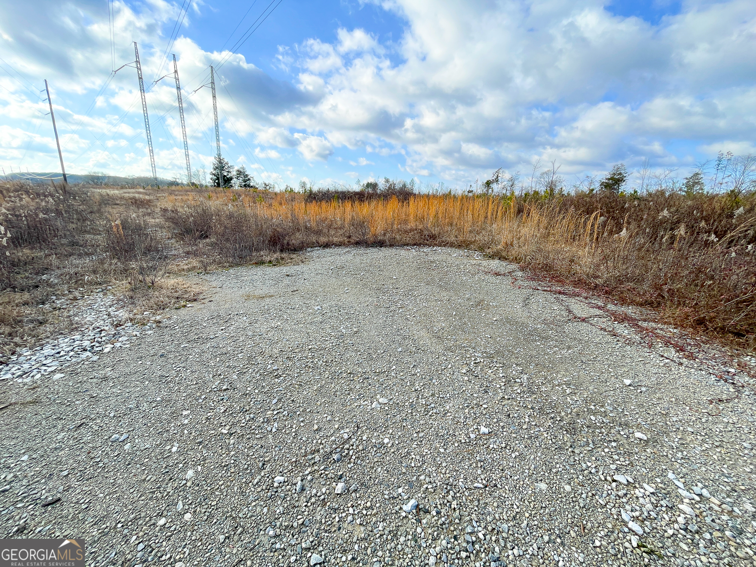 142 Acres On Judkin Mill Road Cedartown, GA 30125 - Photo 15 of 38