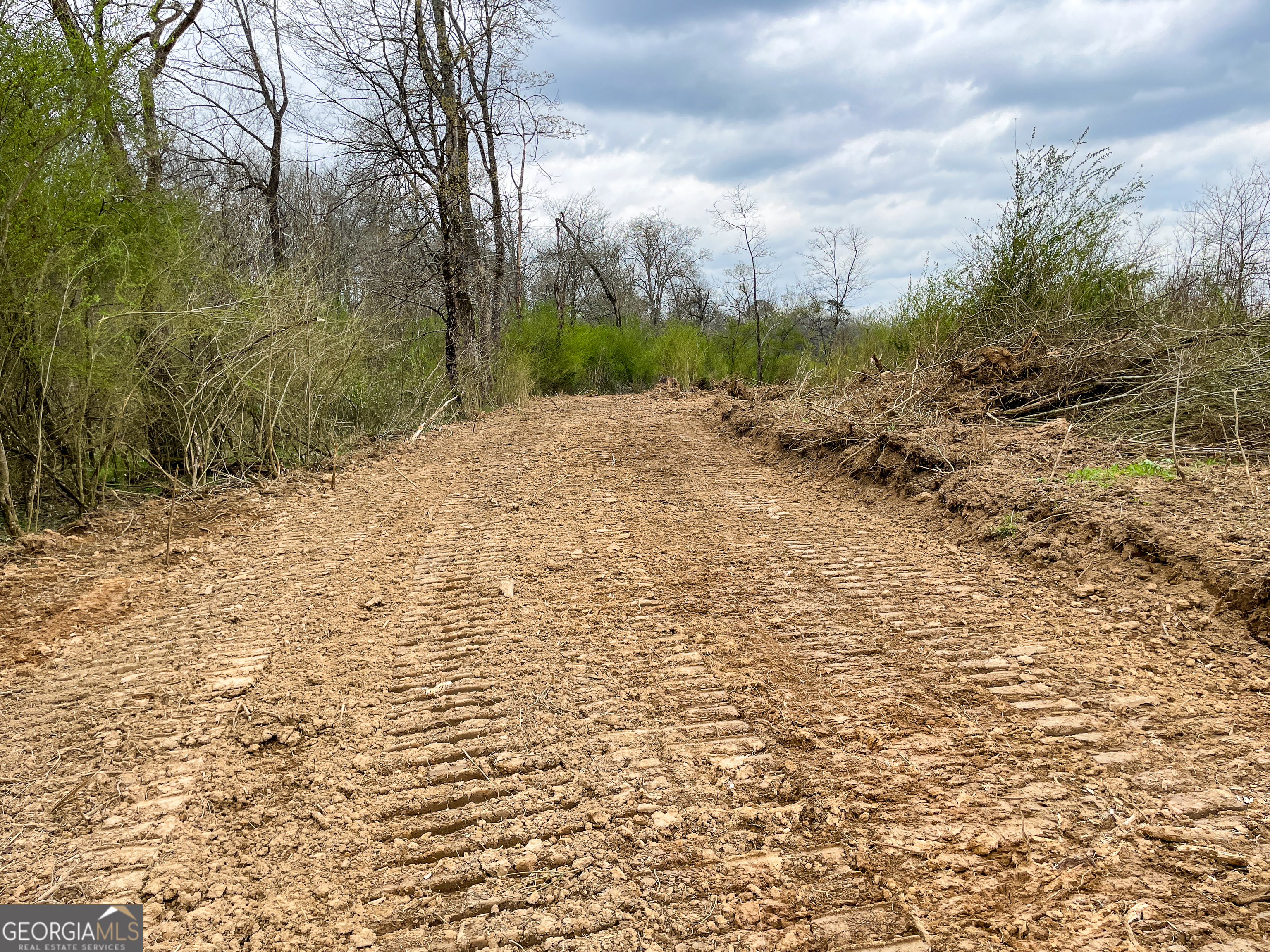 142 Acres On Judkin Mill Road Cedartown, GA 30125 - Photo 16 of 38