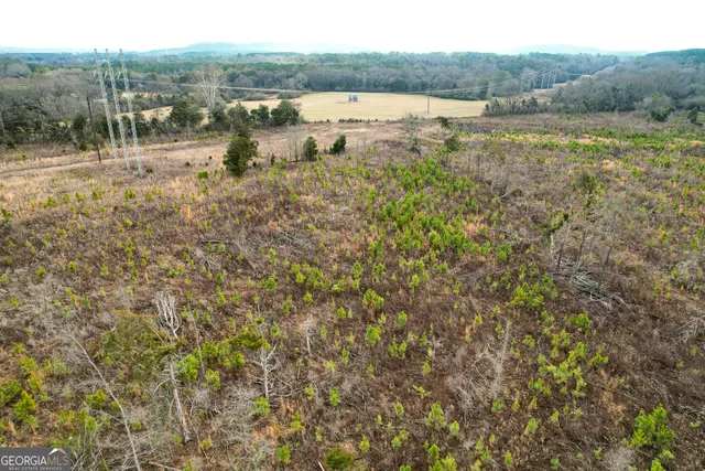 $779,900 | 142 Acres On Judkin Mill Road, Cedartown, GA 30125
