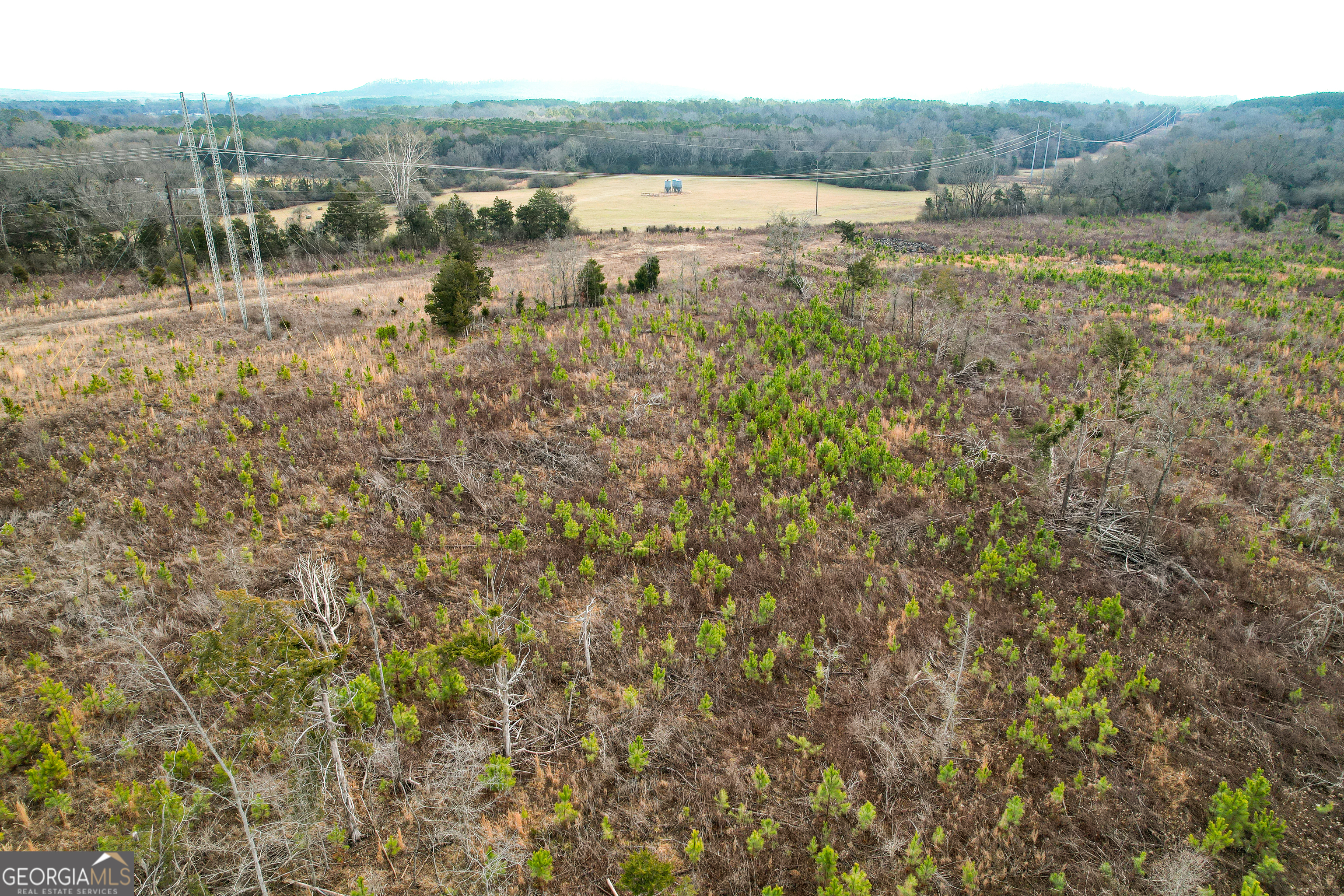142 Acres On Judkin Mill Road Cedartown, GA 30125 - Photo 17 of 38