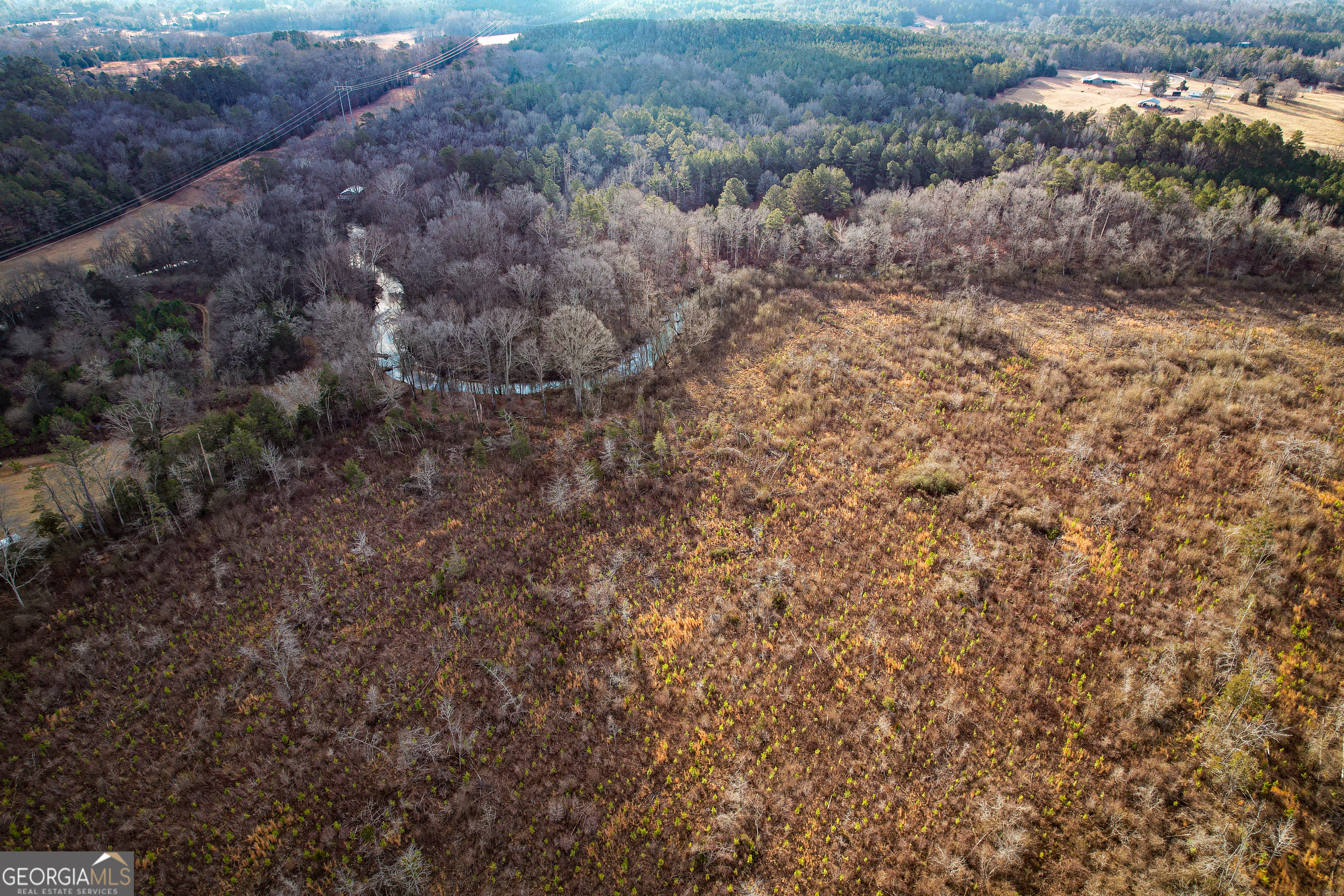 142 Acres On Judkin Mill Road Cedartown, GA 30125 - Photo 19 of 38