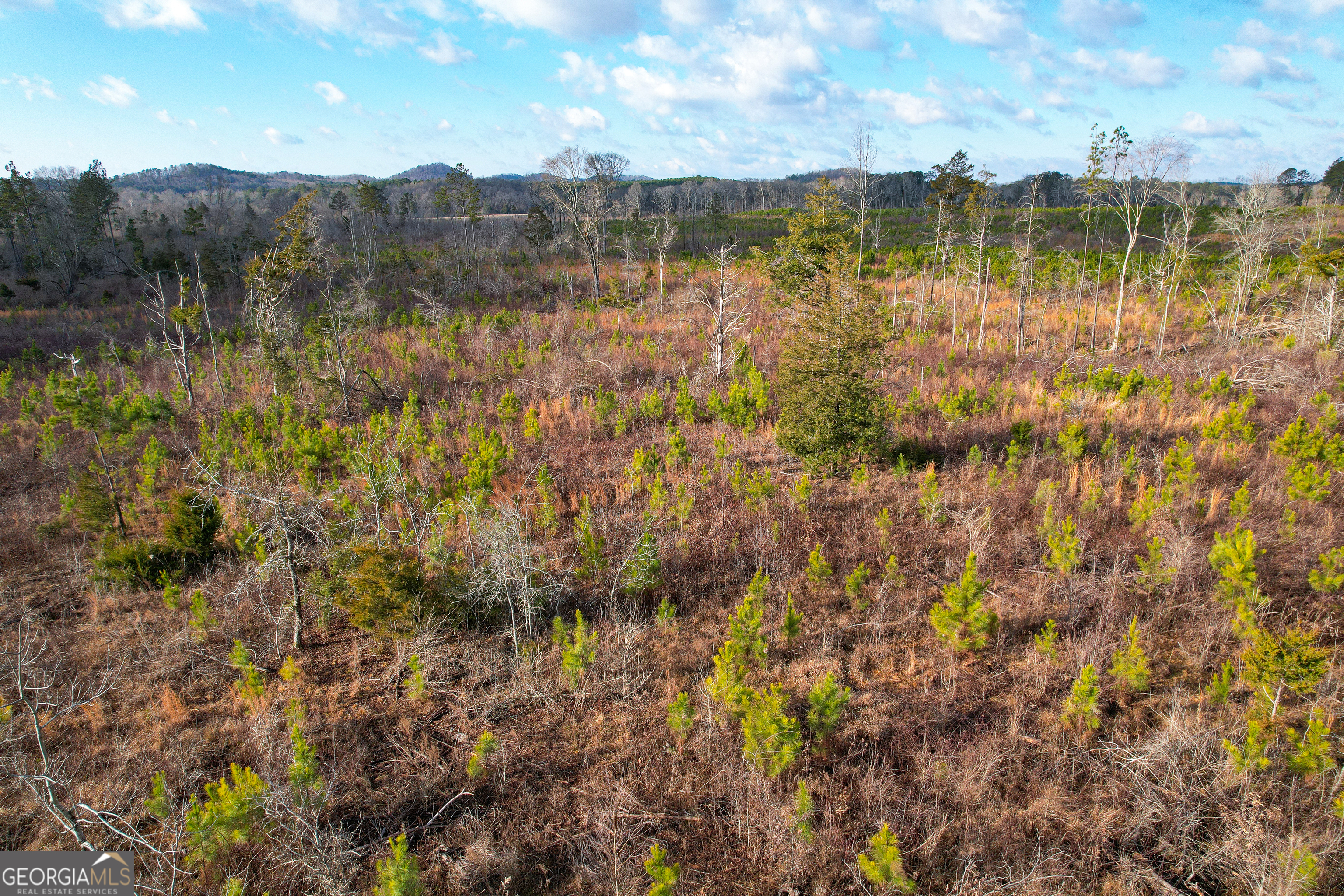 142 Acres On Judkin Mill Road Cedartown, GA 30125 - Photo 20 of 38