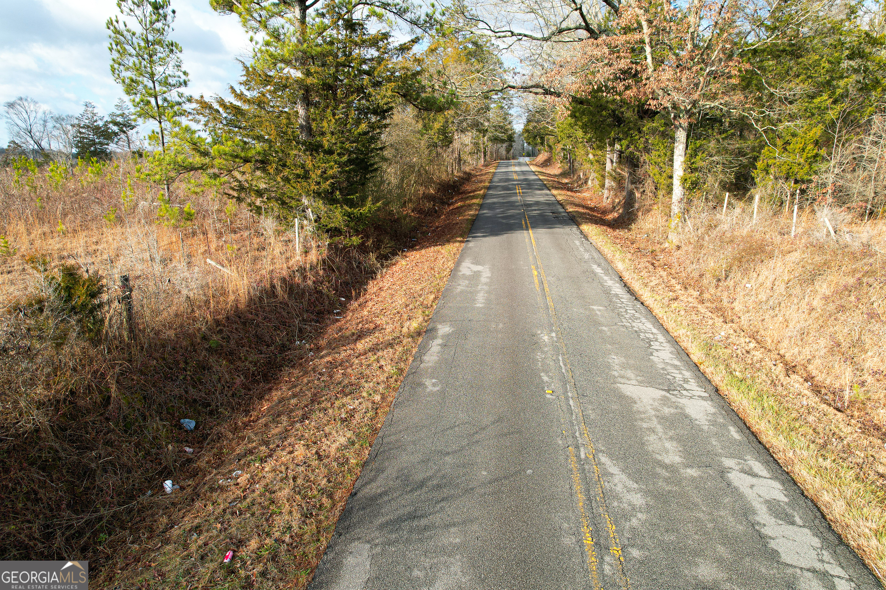 142 Acres On Judkin Mill Road Cedartown, GA 30125 - Photo 21 of 38