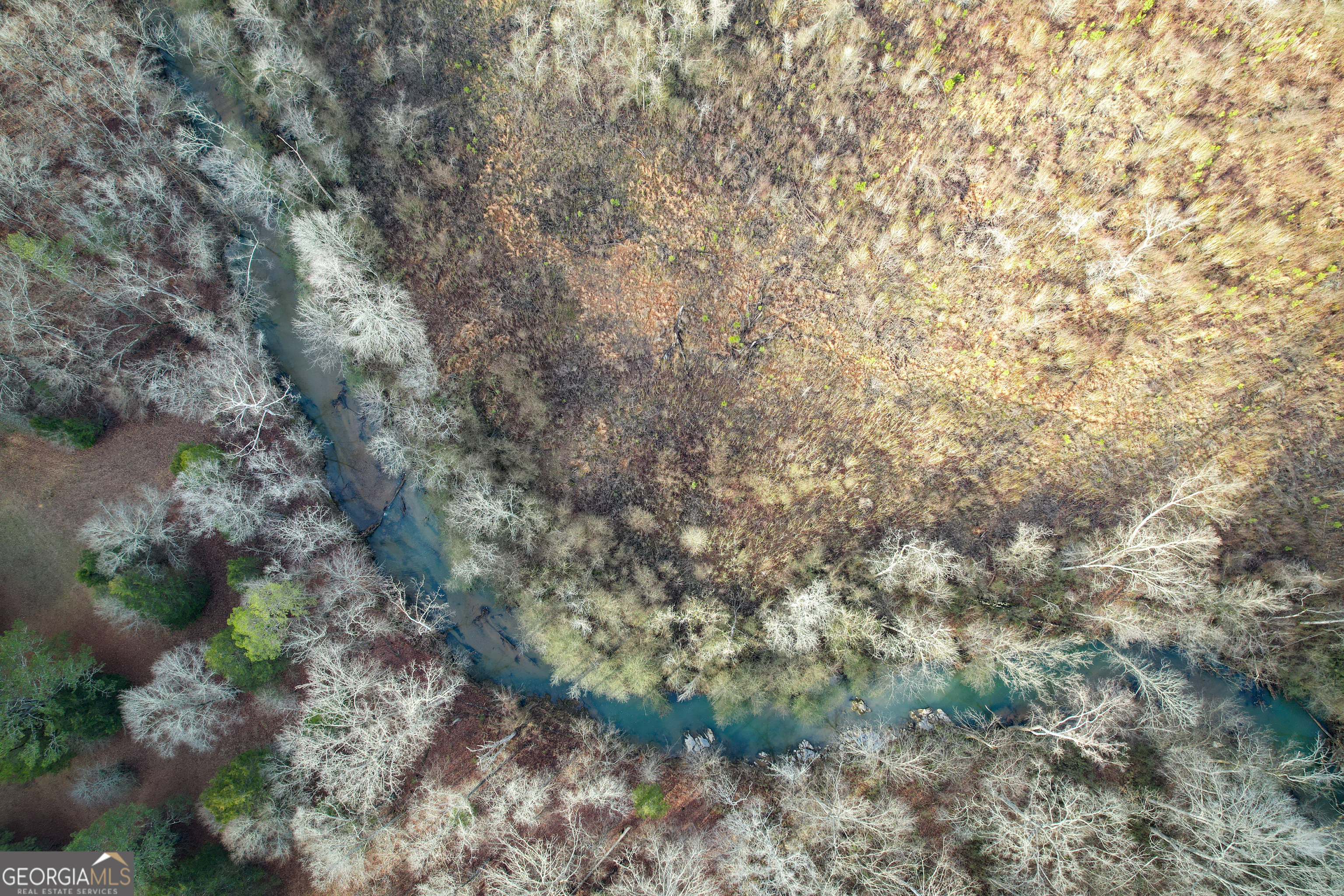 142 Acres On Judkin Mill Road Cedartown, GA 30125 - Photo 25 of 38