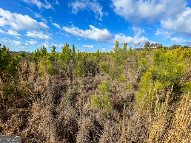 $779,900 | 142 Acres On Judkin Mill Road, Cedartown, GA 30125