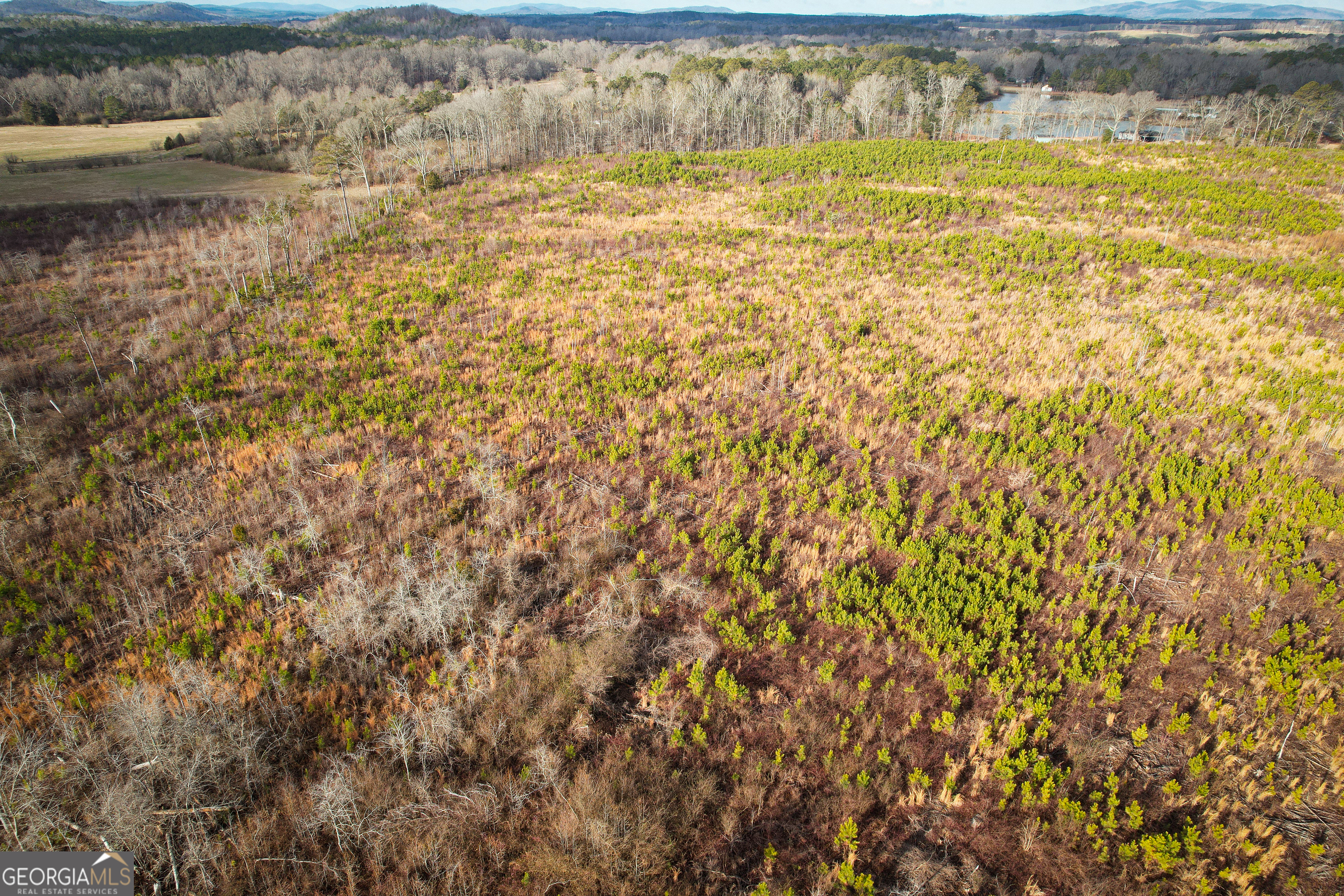 142 Acres On Judkin Mill Road Cedartown, GA 30125 - Photo 27 of 38