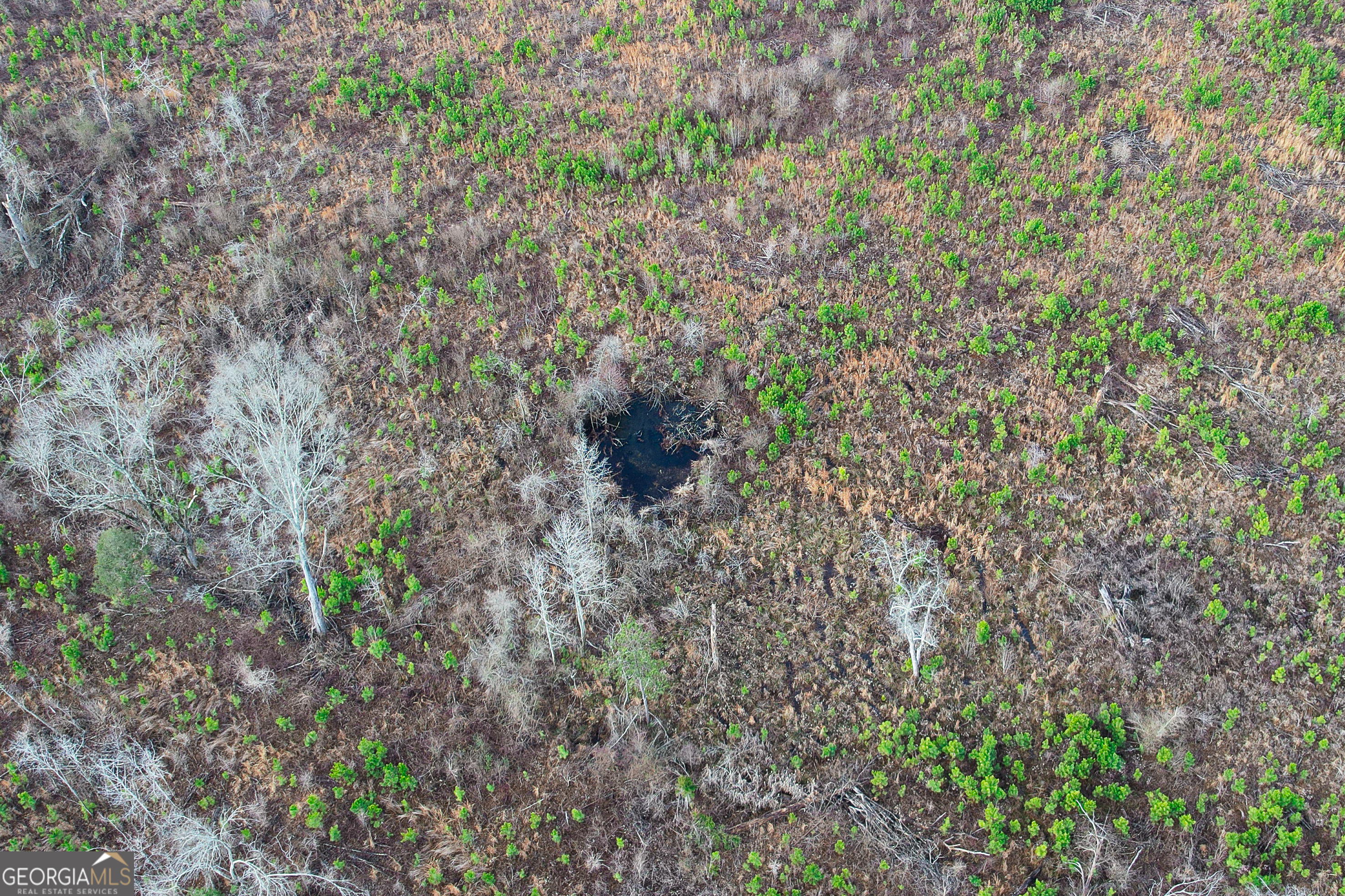 142 Acres On Judkin Mill Road Cedartown, GA 30125 - Photo 28 of 38