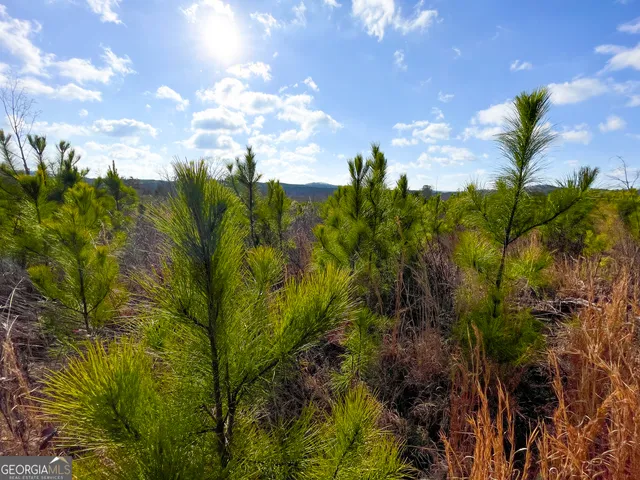 $779,900 | 142 Acres On Judkin Mill Road, Cedartown, GA 30125