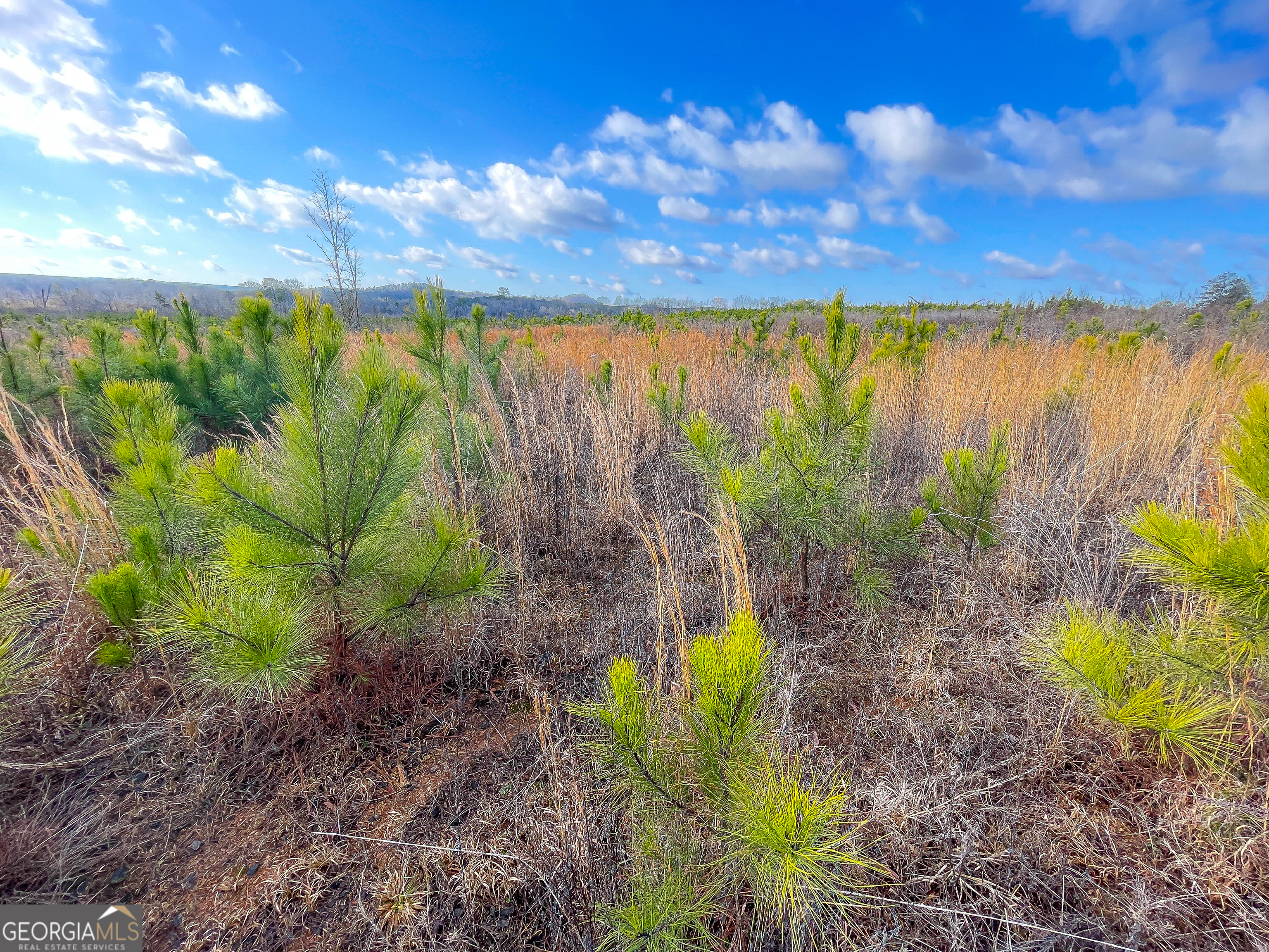 142 Acres On Judkin Mill Road Cedartown, GA 30125 - Photo 32 of 38