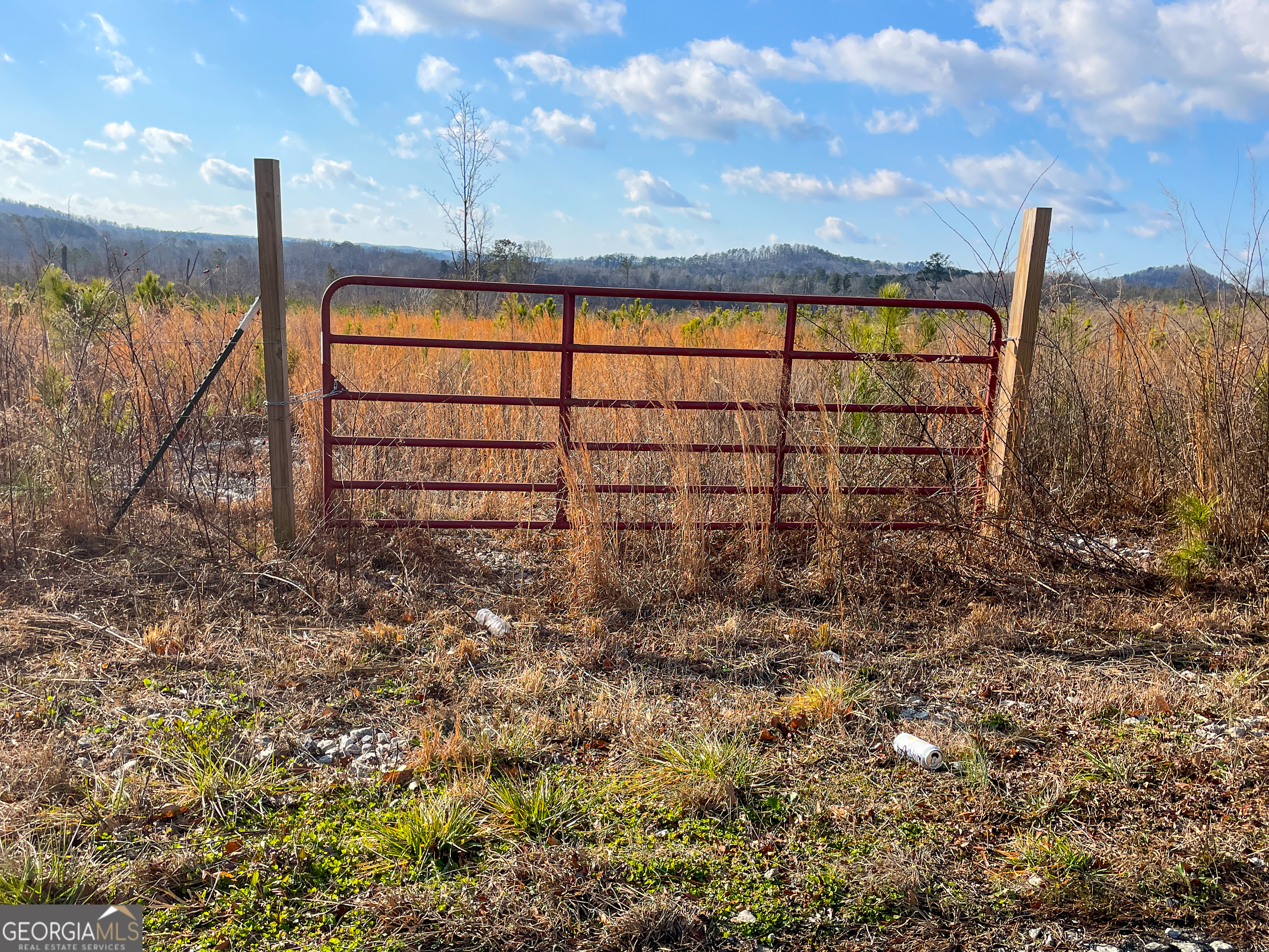 142 Acres On Judkin Mill Road Cedartown, GA 30125 - Photo 33 of 38