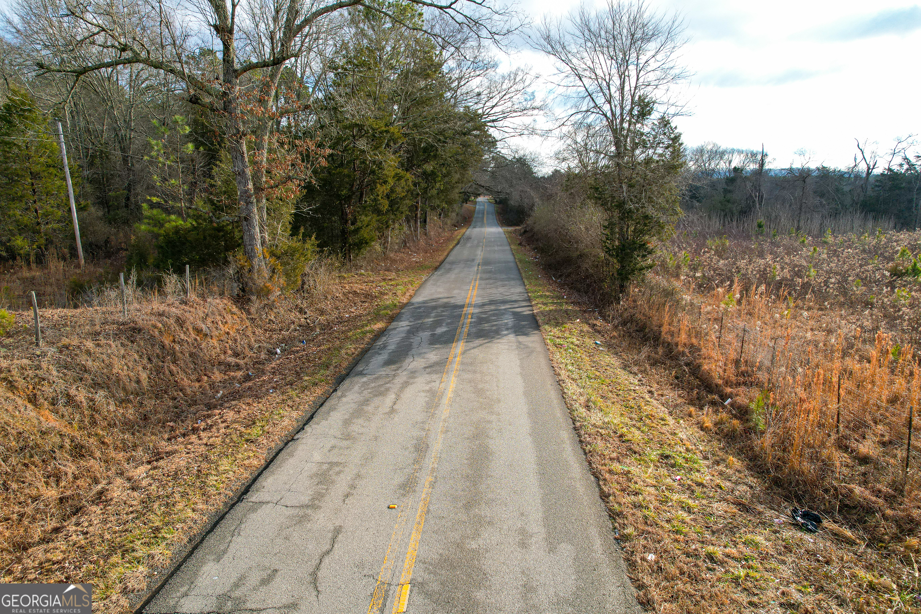 142 Acres On Judkin Mill Road Cedartown, GA 30125 - Photo 34 of 38