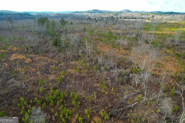 $779,900 | 142 Acres On Judkin Mill Road, Cedartown, GA 30125