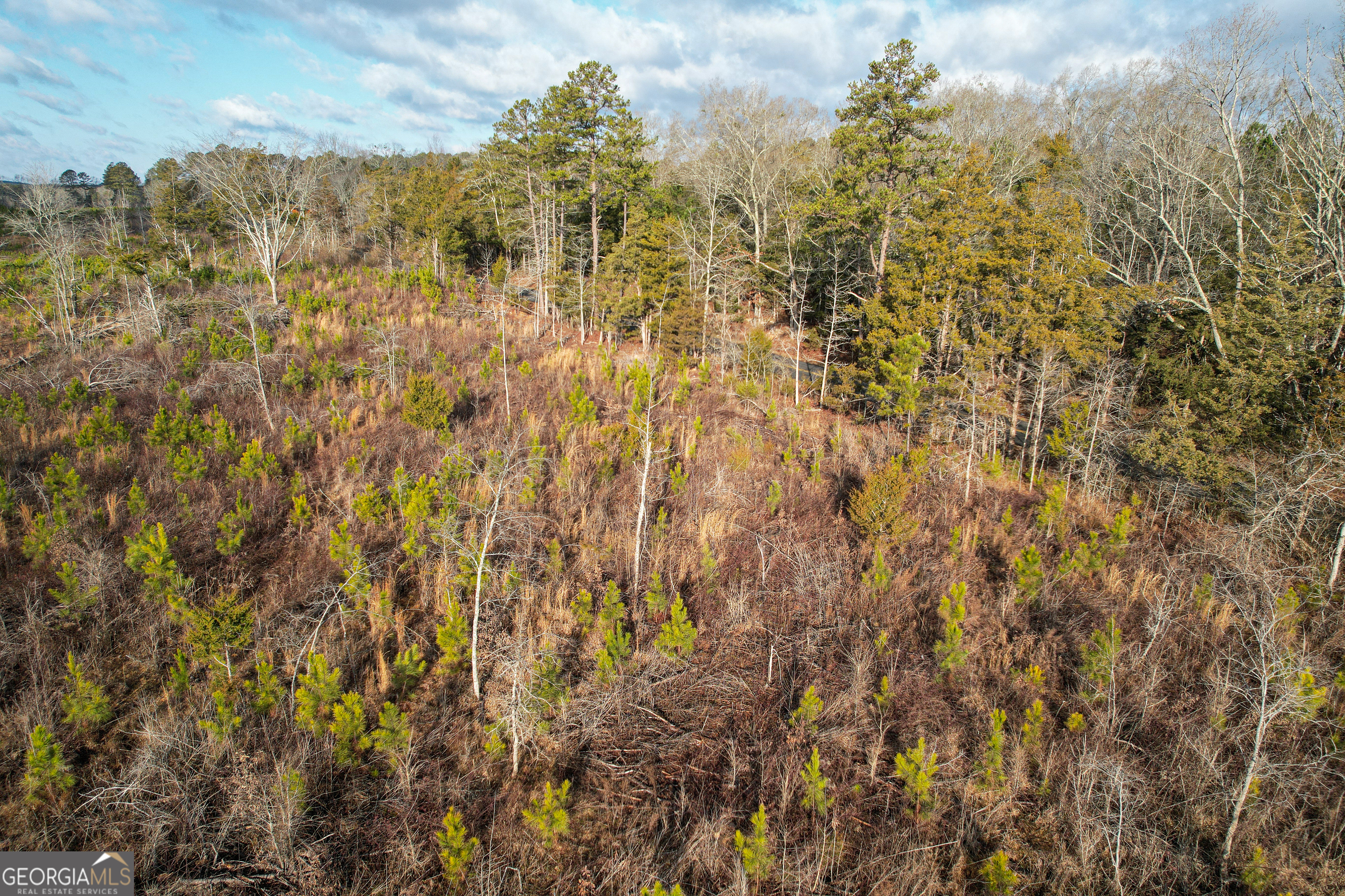 142 Acres On Judkin Mill Road Cedartown, GA 30125 - Photo 37 of 38