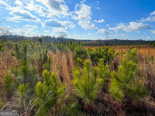 $779,900 | 142 Acres On Judkin Mill Road, Cedartown, GA 30125